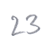 23