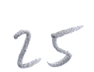25
