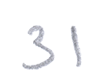31