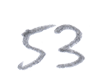 53