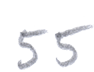 55